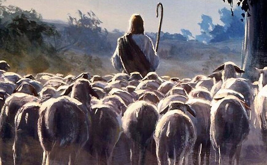 Luis Sarmiento: Jesús es el Pastor que aprendió a ser oveja en lo cotidiano